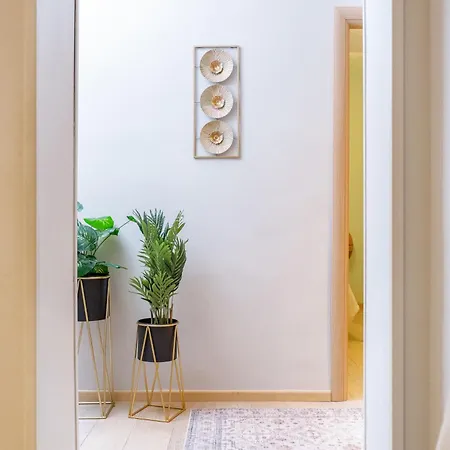 Dng House - Vatican Collection 80 Square *